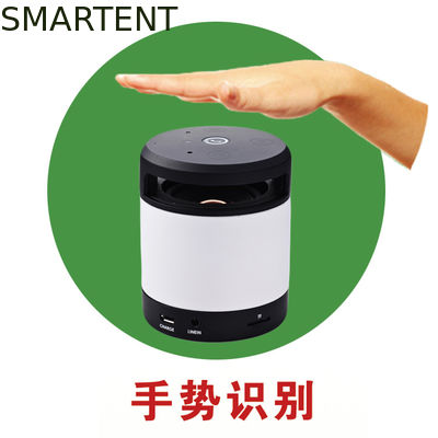 Comprar Reconhecimento Bluetooth do gesto que caminha o cilindro recarregável dos oradores de Bluetooth do orador Fabricação em linha
