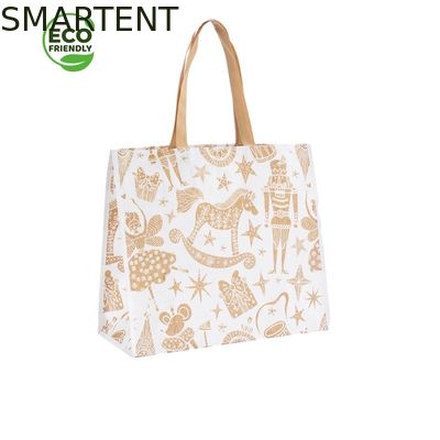 Comprar Costume amigável dos acessórios de 45 x de 40 X de 15CM Eco que imprime o cliente tecido 100% RPET Fabricação em linha