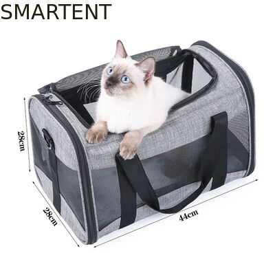 Comprar Grandes suprimentos para animais de estimação fofos unissex, equipamentos para ambientes internos e externos para animais de estimação ativos, com coleiras, guias e transportadoras confortáveis Fabricação em linha